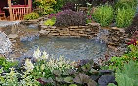 Garden Pond Edging Ideas Natural And