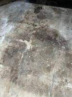 dry oil stains on concrete garage floor