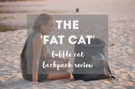 Check out this traveler cat backpack with our complete review (+youtube videos)! Fat Cat Backpack Review A True Traveler S Cat Backpack Fluffy Kitty