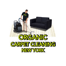 12 best carpet cleaning services new