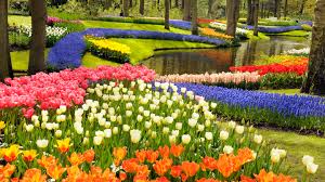 Beautiful Spring Flowers Around The World