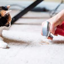 how to clean cat urine stains how to