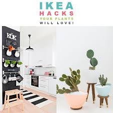 Ikea S Your Plants Will Love The