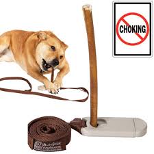 However, most puppies essentially use chewing as a way to explore the world around them. Bully Stick Holder How The Bully Stick Companion Makes Them Safe