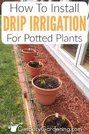 drip irrigation system for potted plants