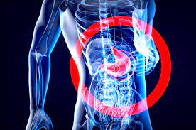 Anatomie X Ray Menschlichen Körper - Kostenloses Bild auf Pixabay - Pixabay