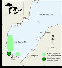 Managing The Impact Of Multiple Stressors In Saginaw Bay