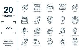 Smart Owl Icon Images Browse 21 563