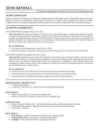 auditor resume example resume skills