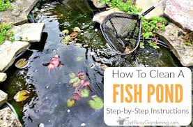 easy diy fish pond cleaning