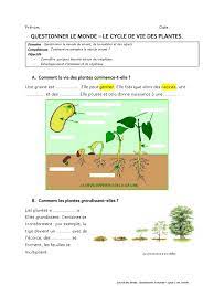 Le Cycle de Vie Des Plantes À Compléter | PDF