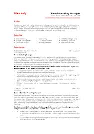 Marketing Manager CV Example     Cover Letters and CV Examples      Executive Resume Samples