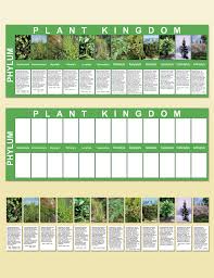 Plant Kingdom Charts Montessori Research Development