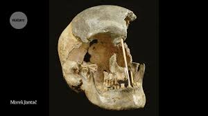 are neanderthals humans