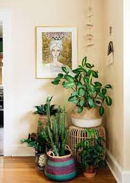 love this little plant corner