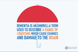 What Is Dementia And Alzheimers Alzheimer