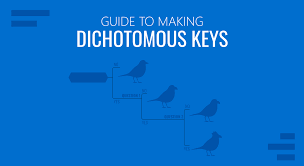 guide to making dichotomous keys