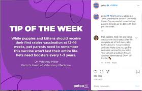 Vaccinating your puppy, dog, kitten or cat is one of the most important steps you can take to protect your pet and your family. The Best Pet Care Brands On Social Media Moondust Social Media Content Agency