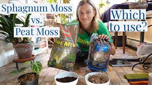 sphagnum moss vs peat moss grow your