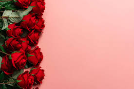 red roses on pink background place for
