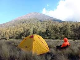 Suasana indah Kalimati berlatar megahnya Gunung Semeru yang selalu bikin rindu🍃 Kalian punya kenangan apa di tempat ini Sob? 📍: Kalimati, Gunung Semeru Get in touch @pendaki.24jam 🔁 : @dicky_bastian__ ...