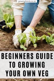Growing Your Own Vegetables How To Get