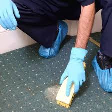 pittsburgh green carpet clean 7504