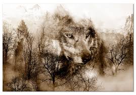 Canvas Print Wolf Portrait Of An