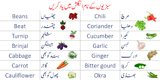 urdu vegetables names