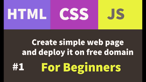 learn html css javascript step by step