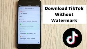 We don't just support downloading videos; How To Download Tik Tok Video Without Watermark In Iphone 2021 Youtube