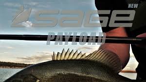 Bildergebnis für Sage Payload Fly Rod blick
