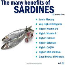 the many benefits of sardines