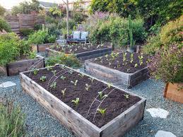 amend and fertilize garden bed soil