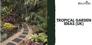 The Best Tropical Garden Ideas If You