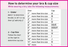 Dress Womens Clothing Bra Size Calculator