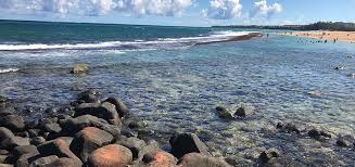 Best Tide Pools On Maui Hop To It Hawaii Ocean Project