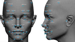 Face recognition is just one of the many features found in this robust privacy app. How To Make An Image And Face Recognition App Agilie App Development Company Blog