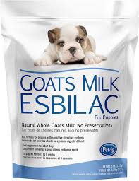 Both never mix well and can cause stomach upset. 5 Best Milk Replacers For Puppies Helping Out The Young Hungry
