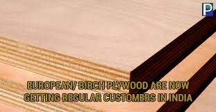 european birch plywood are now getting