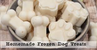 homemade frozen dog treats moms need