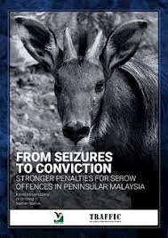 Mad urot kl/sel dm contact number. Poachers Paying Heftier Price For Killing Serow Wildlife Trade Report From Traffic