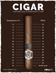 Cigar Humidity Temperature Chart Cigar Monkeys
