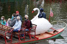 boston swan boats a summer treat bu