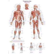 Trigger Points Small Poster