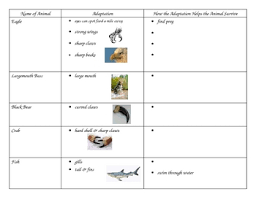 3rd Grade Science Animal Adaptation Graphic Organizer Chart