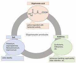 Understanding Glyphosate Formulations Citrus Industry Magazine