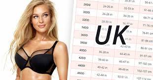 british uk bra sizes in inches and