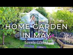 Starting your own home garden can seem a little daunting for those with a budding green thumb. The Home Garden In May Youtube