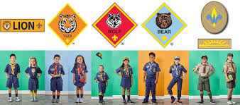 Image result for cub scout uniform